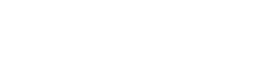 프리미엄 프리패스 구매시, 프리미엄 서비스 무료 제공