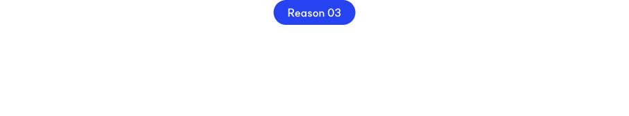 reason03
